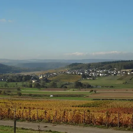 Appartement Weingut-ferienwohnung Jungblut - Nur Urlaubsgaeste