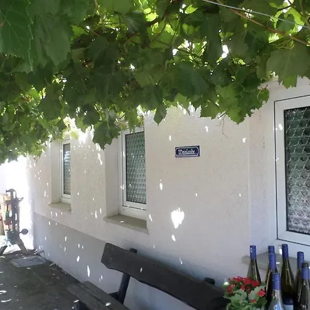 Weingut-ferienwohnung Jungblut - Nur Urlaubsgaeste 公寓