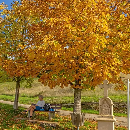 公寓 Weingut-ferienwohnung Jungblut - Nur Urlaubsgaeste *