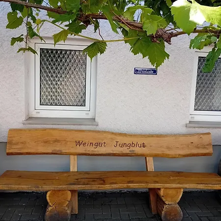 Weingut-ferienwohnung Jungblut - Nur Urlaubsgaeste Appartement Oberemmel