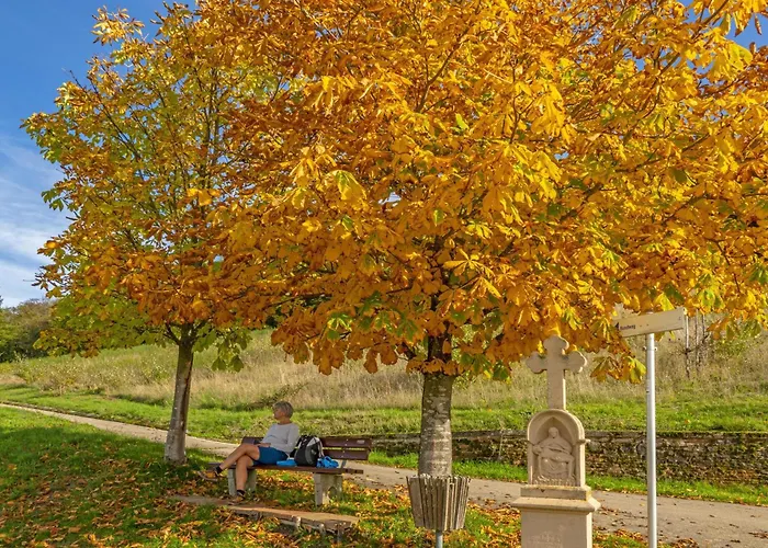 公寓 Weingut-ferienwohnung Jungblut - Nur Urlaubsgaeste *